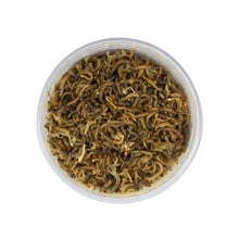 Lade das Bild in den Galerie-Viewer, Top Secret Medusa kit