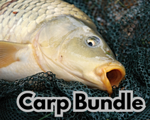 Lade das Bild in den Galerie-Viewer, Carp Bundle