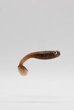 Lade das Bild in den Galerie-Viewer, Kirschenpflücker der Barschgummifisch