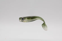 Lade das Bild in den Galerie-Viewer, Kirschenpflücker der Barschgummifisch